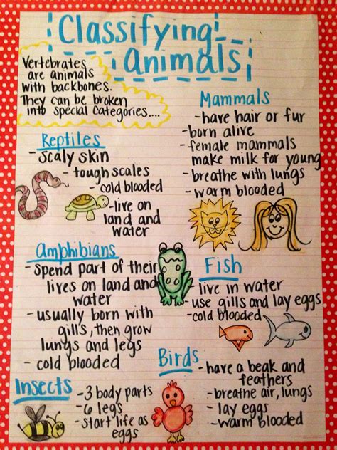 Pin By Niki Riggs On First Grade Elementary Science First Grade