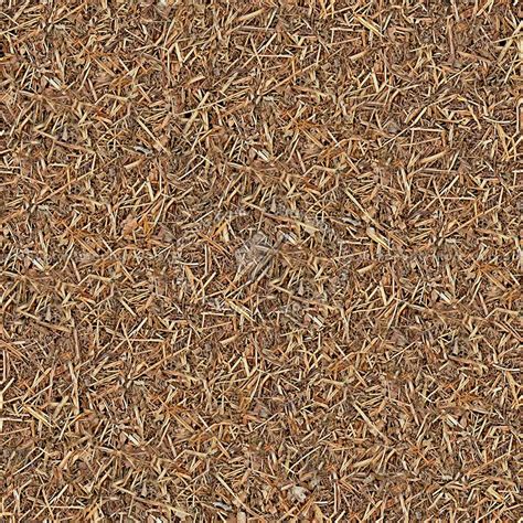 Dry Grass Texture Seamless 12920