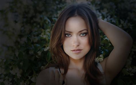 olivia wilde full hd wallpaper and background image 1920x1200 id 325783