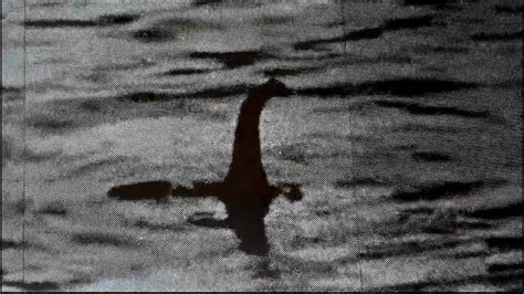 The Best Loch Ness Monster Video Of And Steve Alten Nessie Spotted Caught On Tape
