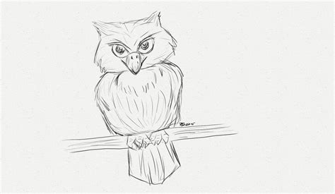 Owl Quick Sketch By Rakaeltowers On Deviantart