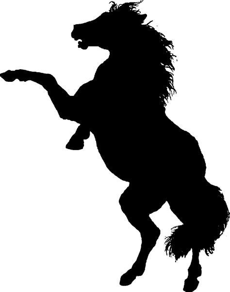 Horse Silhouette Horse Rearing Silhouette
