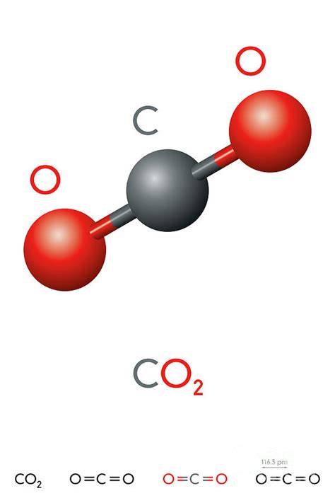 Carbon Dioxide Molecule Drawing