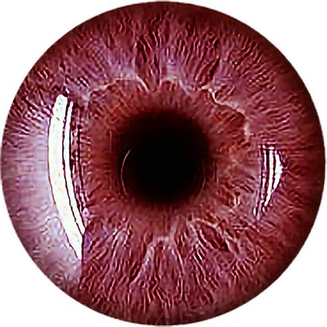 Download Eye Red Scary Vampire Redeyes Eyecolor Eyeball Freetoed