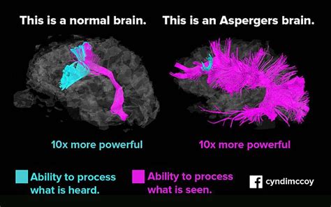 Difference Between Aspergers And High Functioning Autism Difference Between