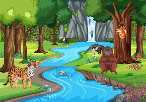 Forest Scene With Different Wild Animals Creature Zoology Forest Vector