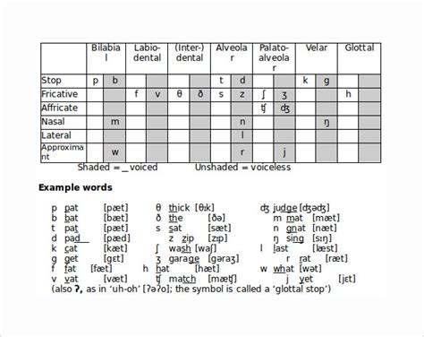 Phonemic Chart With Examples Pdf Lamer