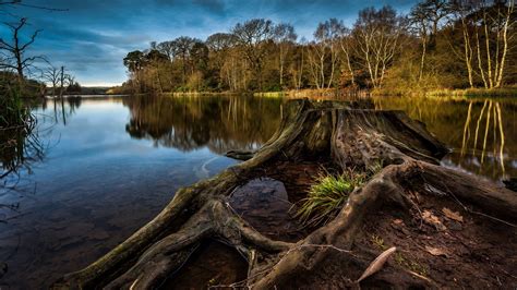 2560x1600 Lake Nature Landscape Forest Clouds Shipwreck Water Trees