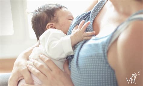Les Formations En Allaitement Maternel Blog Vanillamilk
