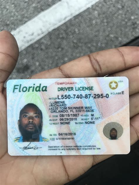 Florida Temporary Drivers License - lasopacasa