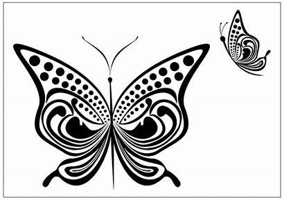 Butterfly Coloring Drawing Pages Bold Printable Fun