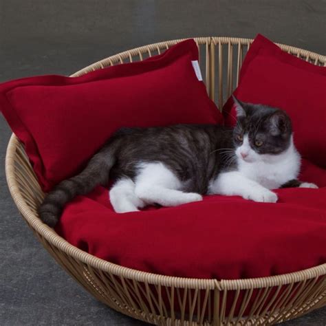Cat Bedding Free Delivery And Lowest Prices Guaranteed