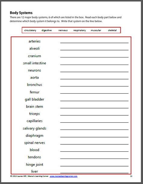 If you are learning about the human body in your homeschool, you can use these free human body systems worksheets to help supplement your studies. The Human Body Worksheet Packet for 1st-3rd Graders ...
