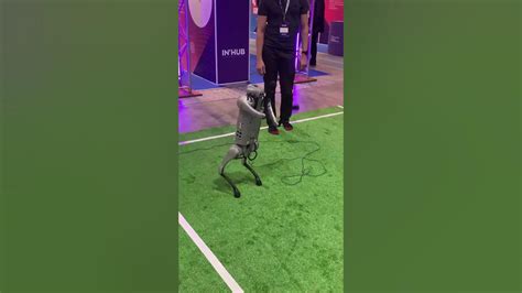 4 Legged Robot Trained To Balance With 2 Legs By Artificial