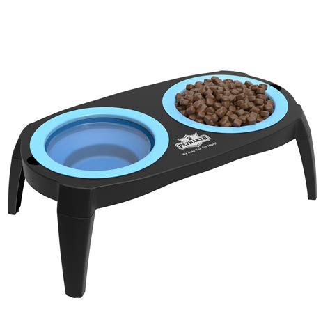 A dog food bowl created with a maze for food. Elevated Pet Bowls with Non Slip Stand for Dogs and Cats ...