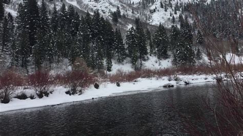 Fishing Provo River Winter 2017 Youtube