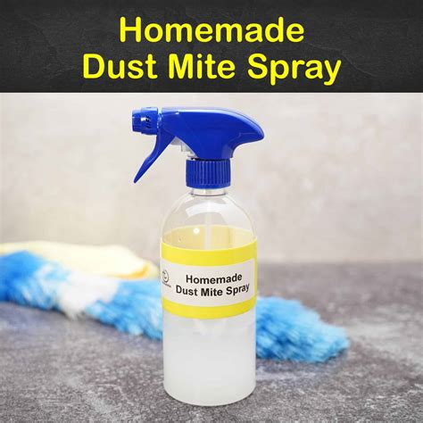 Getting Rid Of Dust Mites 11 Homemade Dust Mite Spray Tips And Recipes