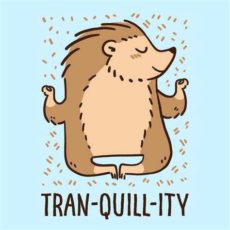 Tran Quill Ity Hedgehog T Shirts Lookhuman Punny Cards Cute Puns