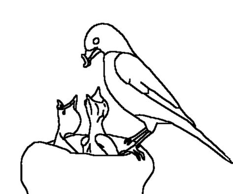 Baby Birds Coloring Pages Coloring Home