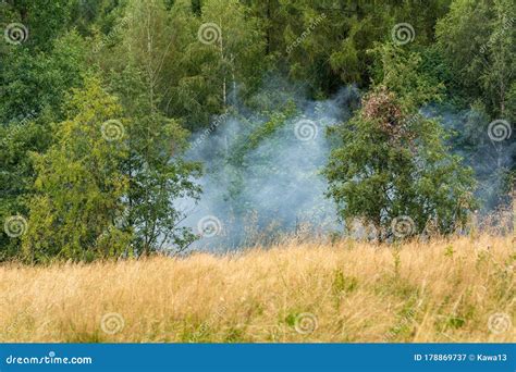 Dense Smoke Rising From The Wildfire In The Forest Stock Image Image