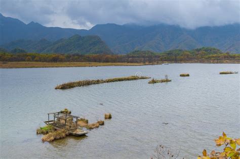 Big Nine Lakes Of Hubei Shennongjia Forest Stock Photo Image Of