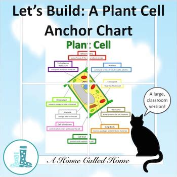 These cells tend to be larger than the cells of bacteria, and have developed. Let's Build: A Plant Cell Anchor Chart by A House Called ...