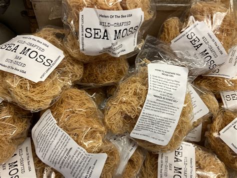 Sea Moss 2oz 12ct Retail Packaging Each 2oz Pk Makes Etsy