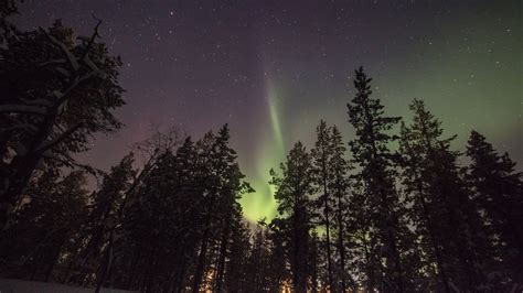 Northern Lights In Saariselka Finnish Lapland Auroras Boreales
