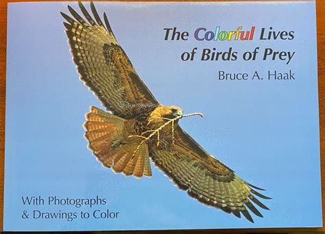 The Colorful Lives Of Birds Of Prey Color Book By Bruce A Haak Mike