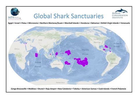 Where Do Sharks Live Map