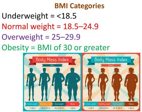 How To Calculate Bmi Body Mass Index Class 10th Sst