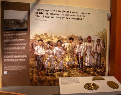 Harriet Tubman Day Celebrations Today State Park And Visitor Center Is