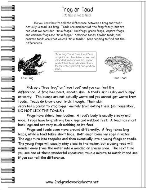 Informational Text Worksheets 2nd Grade
