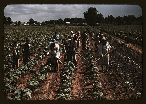 Life On Americas 1930s Plantations Revealed In Series Of Colour