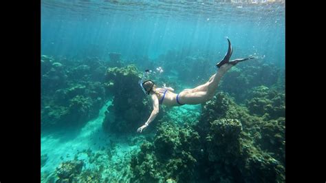 Snorkeling In Jamaica Montego Bay Youtube