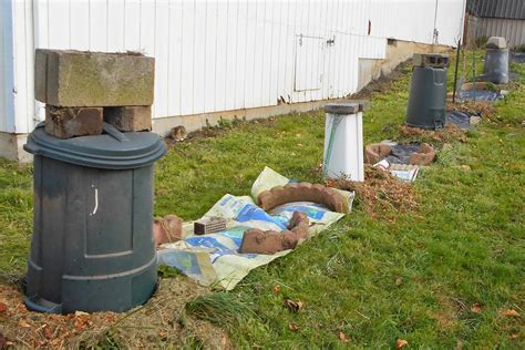 Daniels Pacific Nw Garden More Winter Protection For Little Fig Trees