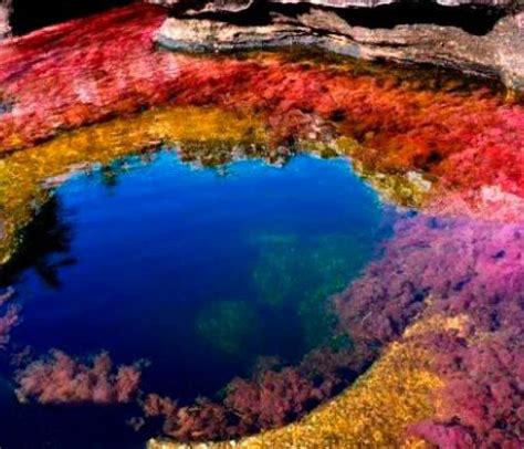 El Río De Los Siete Colores Vuelve A Recibir Visitantes El Universal
