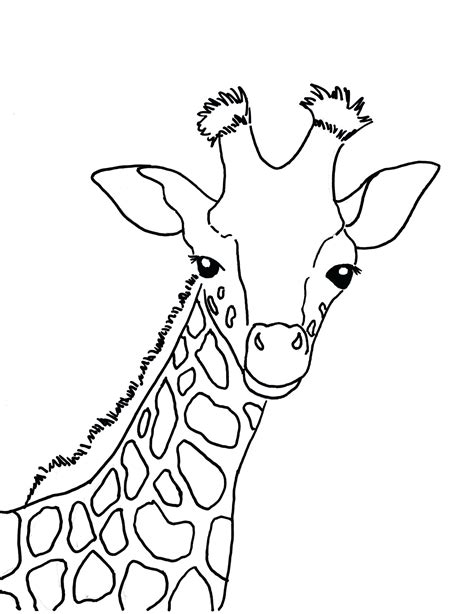 Giraffe Coloring Pages For Kids At Getdrawings Free Download