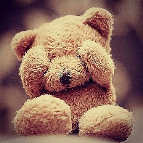 1000 Images About Teddy Bears On Pinterest Teddy Bears Cute