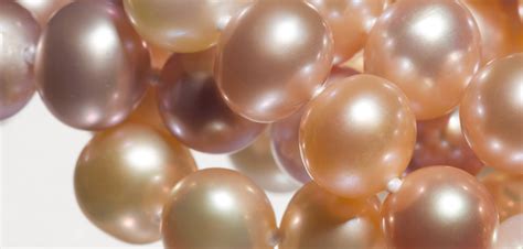 Freshwater Cultured Pearls Jewelry Wise