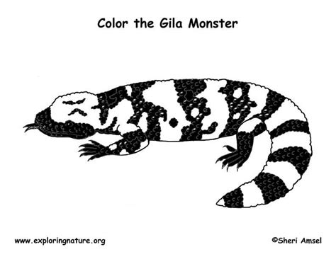 Gila Monster – Coloring Nature