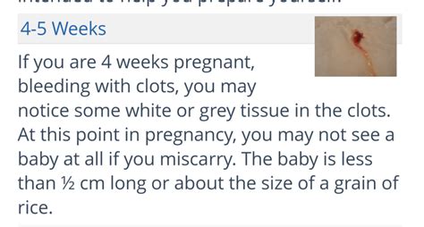 5 Week Miscarriage Trigger With Pic Babycenter
