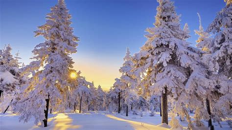 Beautiful Winter Wonderland Wallpaper 43 Images