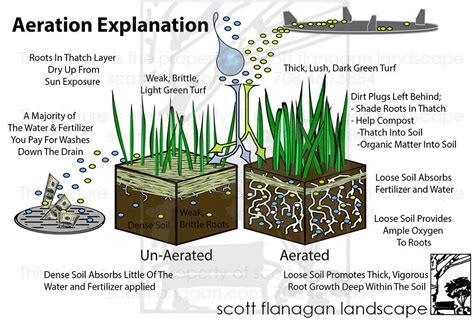 It's a simple process of perforating the soil (and any thatch) while removing. Find out what lawn aeration actually does? | Core aeration, Cool landscapes, Lawn maintenance