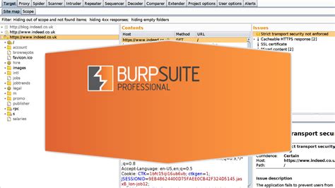 But what, if the burp scanner itself could identify the least common vulnerabilities along with core findings. Codegrazer: Yet another Burp Suite tutorial for beginners
