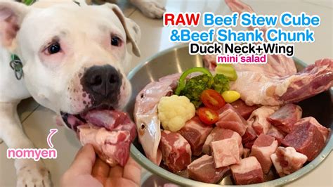 Nomyen The Pit Bull Eats Raw Beef Stew Cubeandduck Neckwing Asmr
