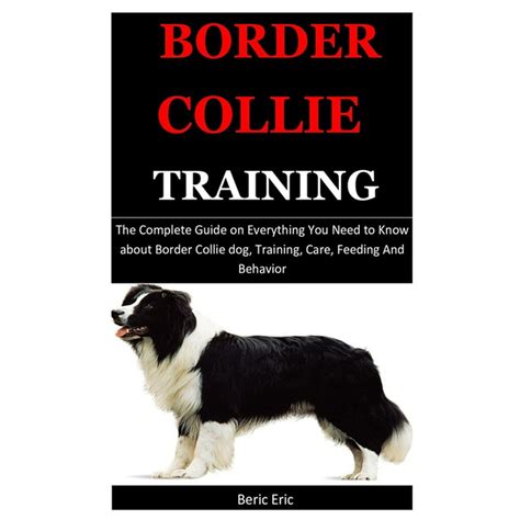 Border Collie Training The Complete Guide On Everything You Need To