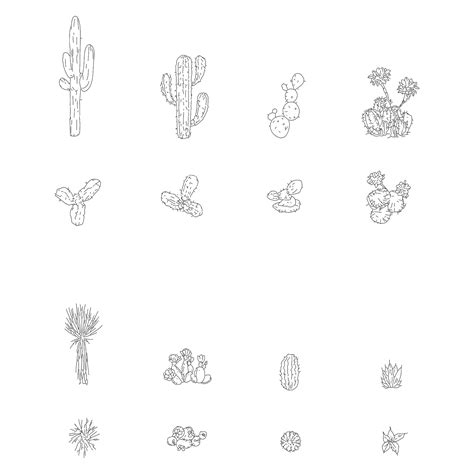 Cactus And Desert Plants Dwg Cad Blocks In Plan And Elevation Cadnature