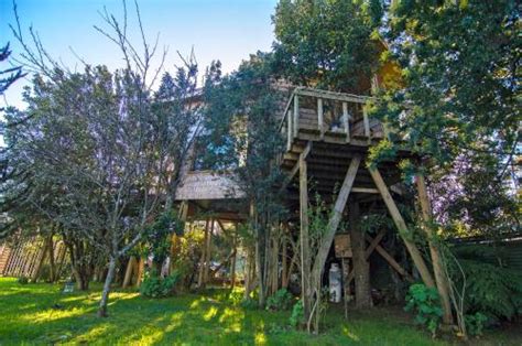 Hotels in der nähe von la casa del arbol, banos: Hotel La Casa Del Árbol De Chiloé (Castro) desde 107€ - Rumbo