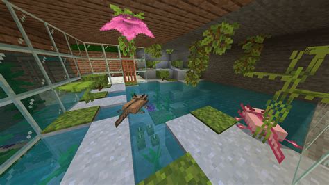 I Made An Aquarium And Axolotl Sanctuary In My House Rminecraft